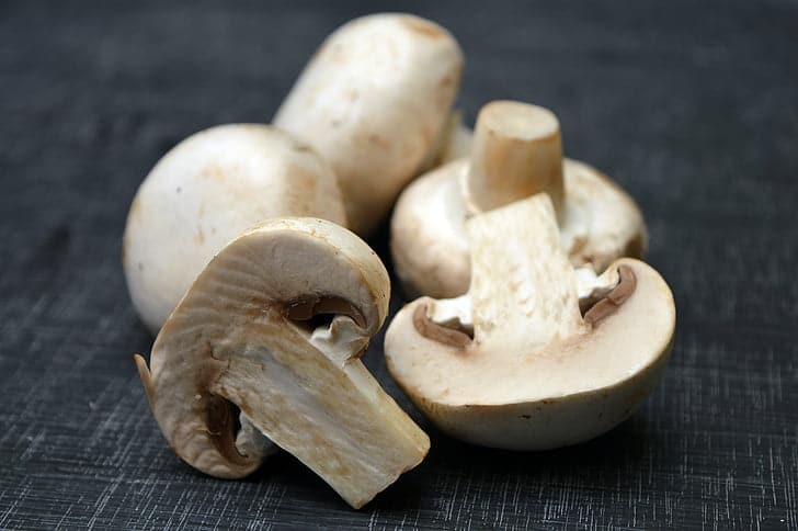 Mushroom